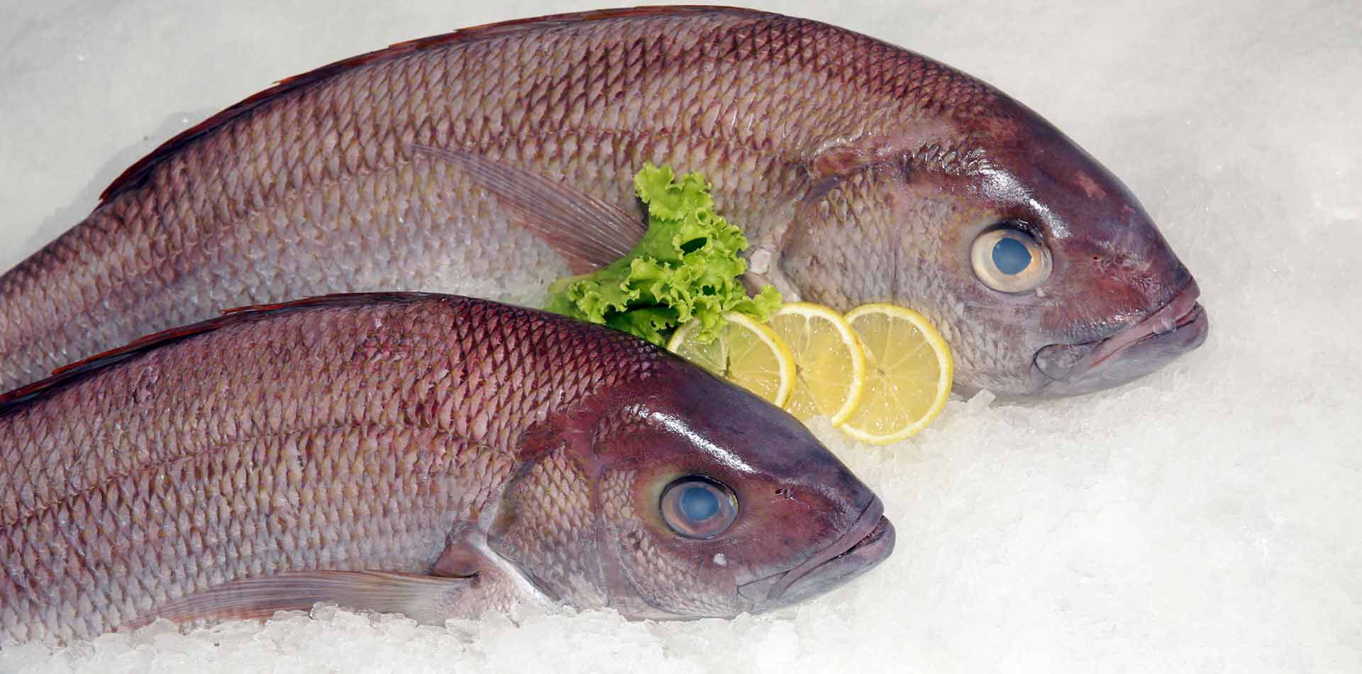 Freshness, Quality and Taste