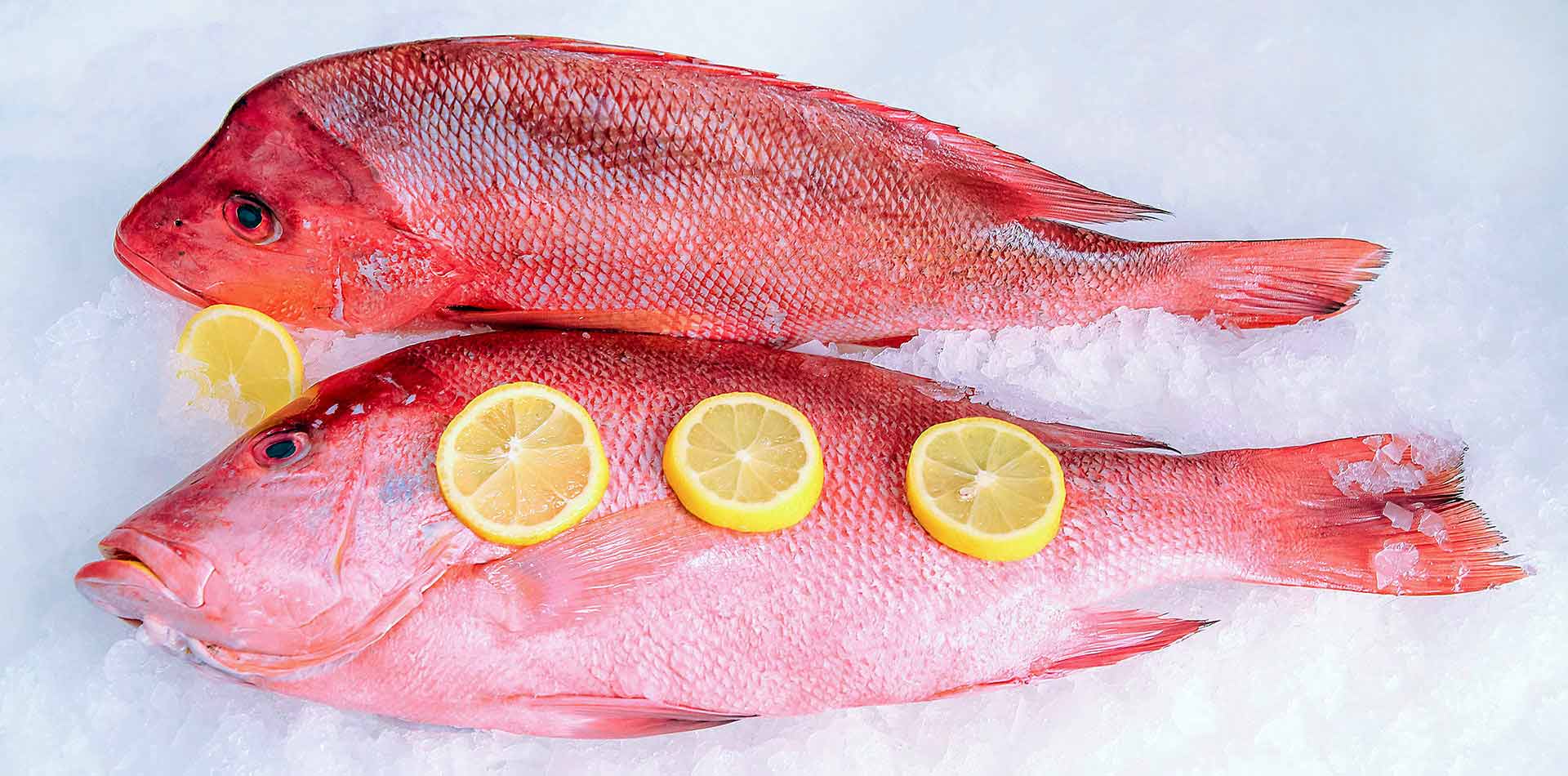 Fabulous selection of fresh and frozen fish with an exquisite taste and texture from the pristine waters of the Seychelles.