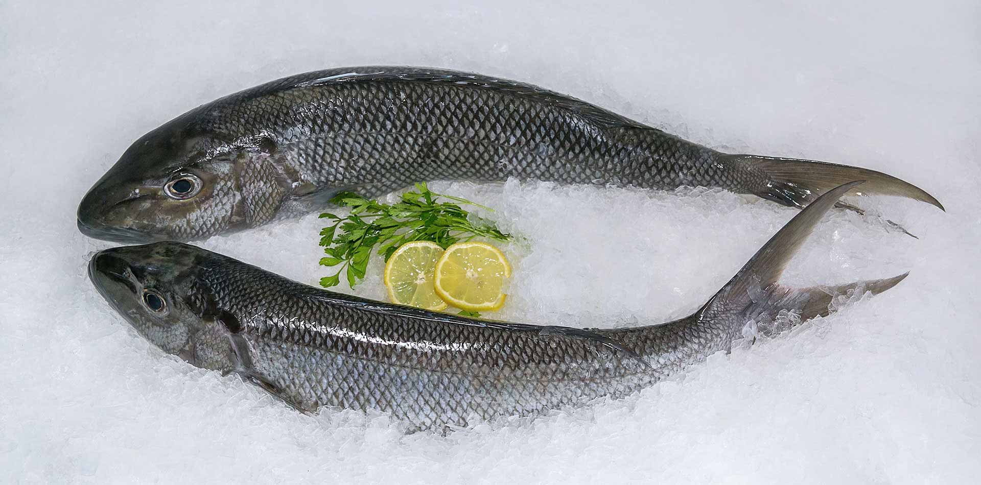 Leading supplier of Fish and Seafood in Seychelles